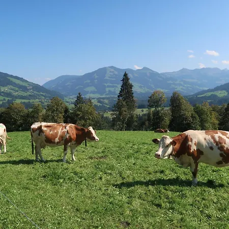 Apartmán Zur Kundler Klamm By Fewo-plan Wild011 Wildschoenau